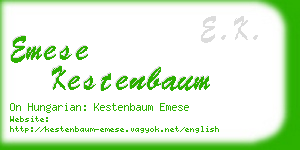 emese kestenbaum business card